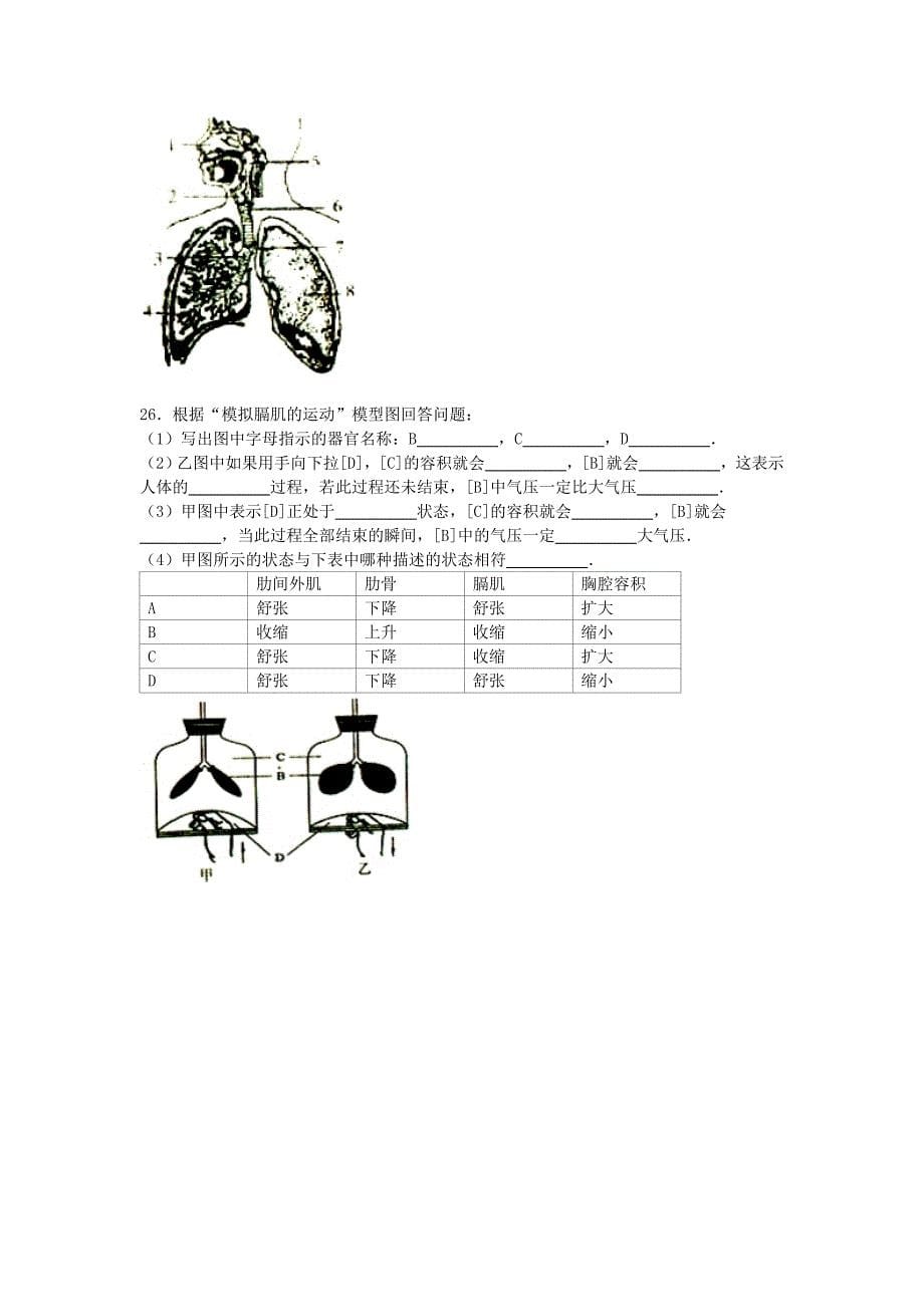 山东省威海市经济技术开发区2015-2016学年七年级生物上学期期中试卷（含解析) 鲁科版五四制_第5页