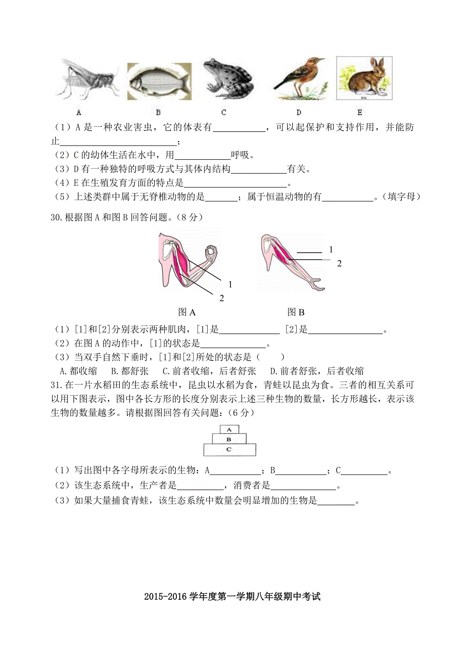 海南省昌江民族中学2015-2016学年度八年级生物第一学期期中试题 新人教版_第4页