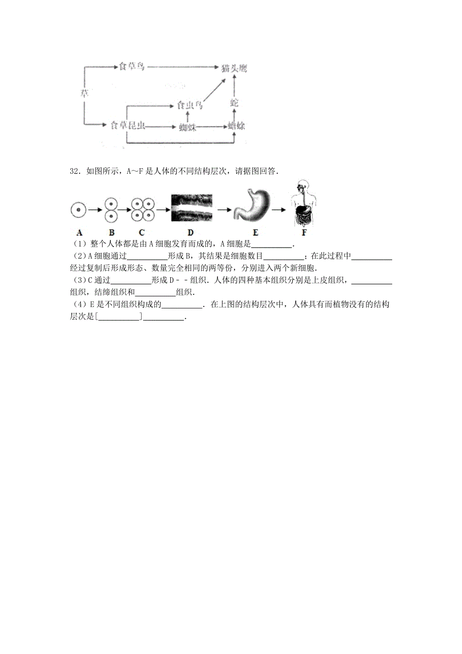 广西梧州市岑溪市2015-2016学年七年级生物上学期期中试卷（含解析) 新人教版_第4页