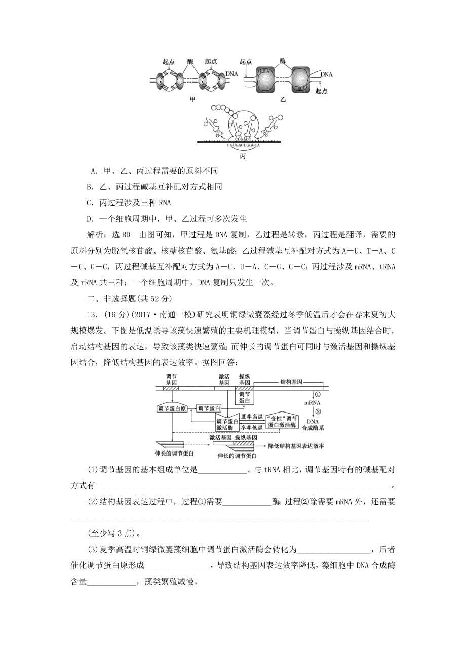 （江苏专版）2019版高考生物一轮复习 第二部分 遗传与进化 第三单元 生物变异、育种和进化 阶段质量评估（五）基因的本质与表达_第5页