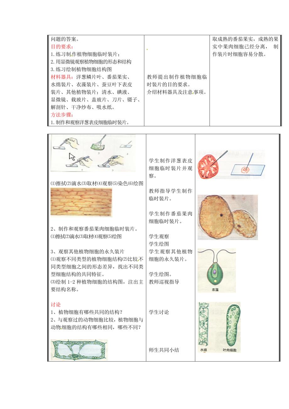 七年级生物上册 第二单元《生物体的结构》第3章 细胞是生命活动的单位 3.1 细胞的基本结构和功能（二）教案 （新版）北师大版_第3页