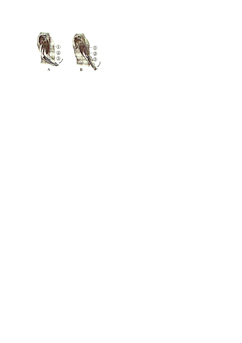 江苏省盐城市东台市第一教研片2015-2016学年八年级生物上学期期中试卷（含解析) 苏教版_第4页