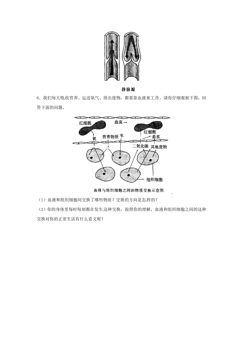 2016年春期七年级生物下册 第四章 第二节 血流的管道——血管同步练习 （新版）新人教版_第2页