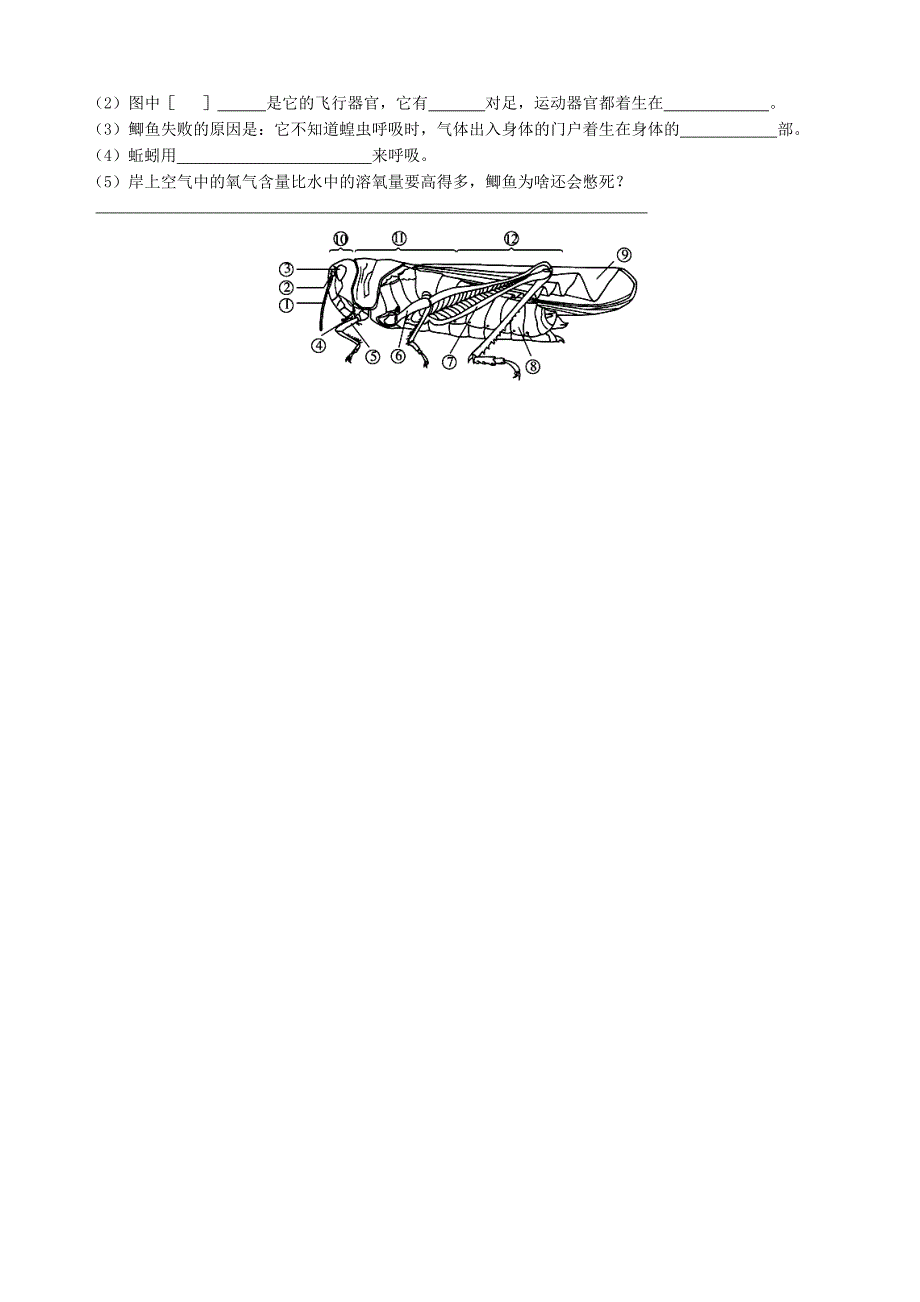 湖北省鄂州市吴都中学2015-2016学年八年级生物上学期期中试题 新人教版_第4页