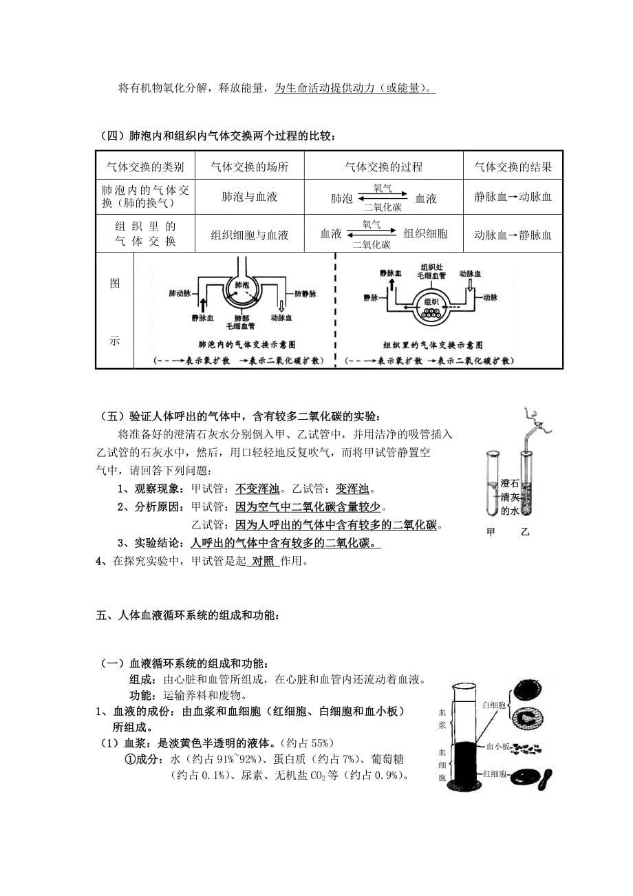 2016年中考生物专题复习 生物圈中的人知识点 新人教版_第5页