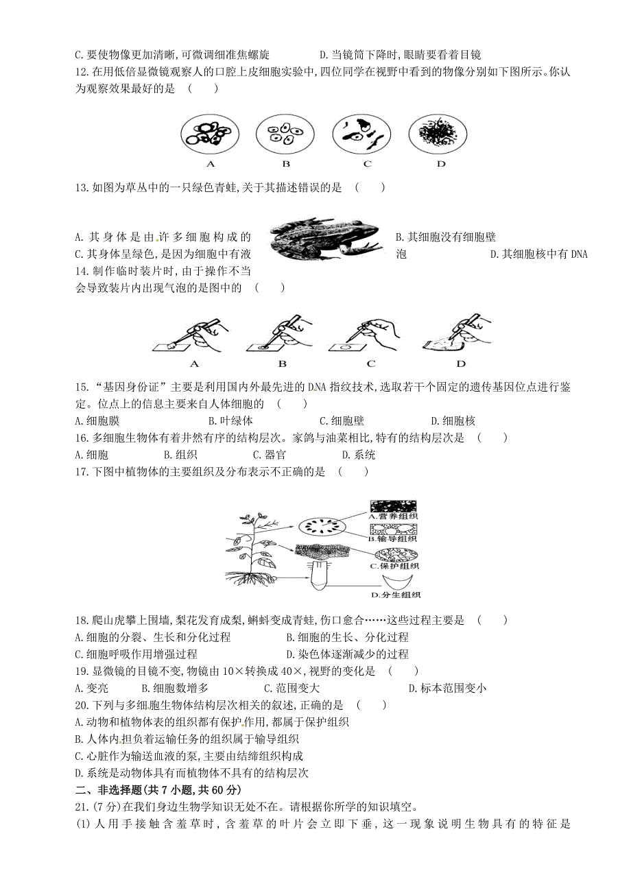 重庆市璧山县青杠初级中学校2015-2016学年七年级生物上学期期中试题 新人教版_第2页