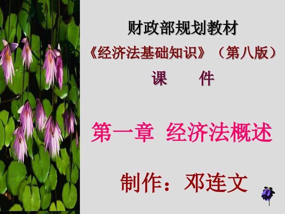 《经济法基础知识》(第八版)课件(第一章)_第1页