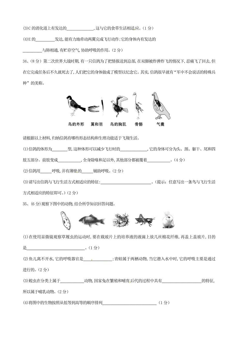 云南省个旧北郊教育联合会2014-2015学年八年级生物（9月)月考试题 新人教版_第5页