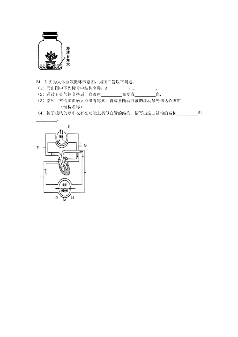 广东省揭阳市普宁市大长陇中学2016届九年级生物上学期期中试卷（含解析)_第4页