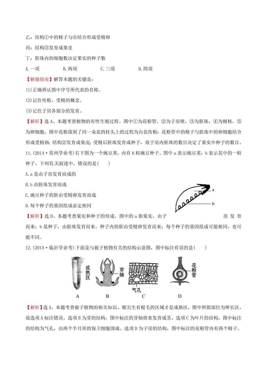 七年级生物上册（真题体验&#8226;把脉中考）第三单元 第二章 被子植物的一生试题（含解析）（新版）新人教版_第5页