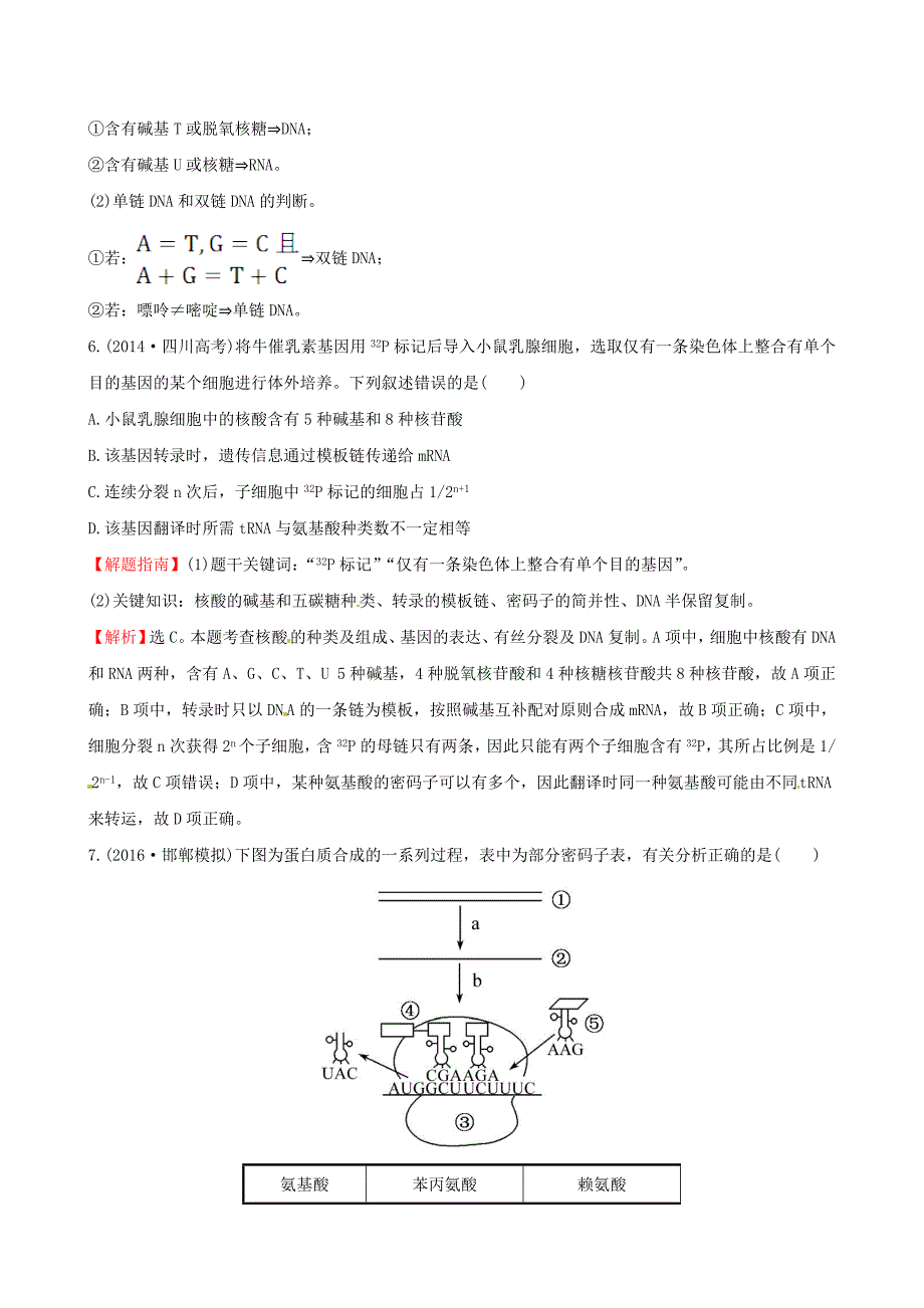 2017版高考生物一轮复习 第4章 基因的表达课时提升作业 新人教版必修2_第3页