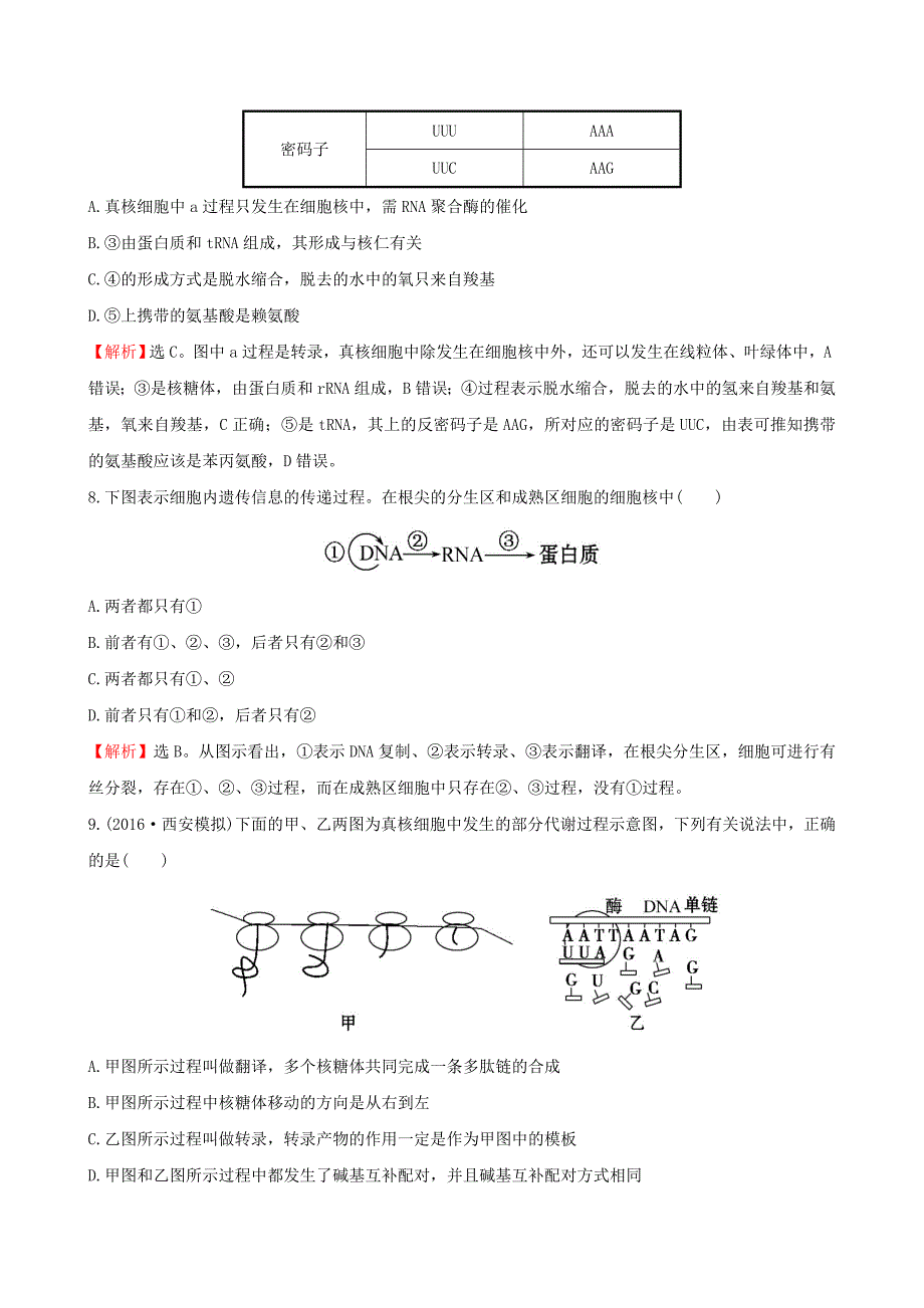 2017版高考生物一轮复习 第4章 基因的表达课时提升作业 新人教版必修2_第4页