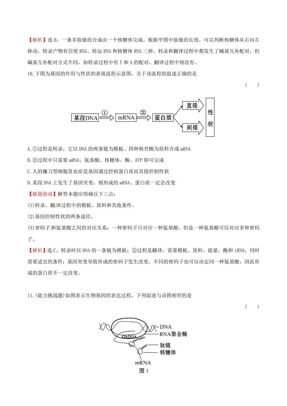 2017版高考生物一轮复习 第4章 基因的表达课时提升作业 新人教版必修2_第5页