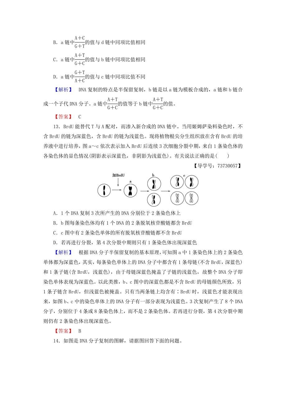 2016-2017版高中生物第3单元遗传与变异的分子基础第1章遗传的物质基础第3节dna的复制学业分层测评中图版必修_第5页