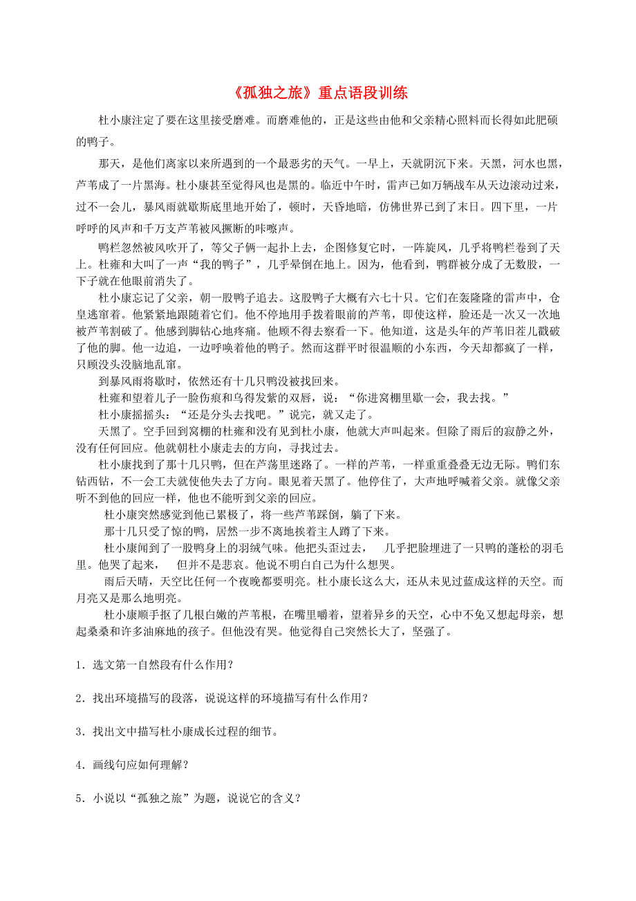 九年级语文上册 10《孤独之旅》重点语段训练（新版)新人教版_第1页