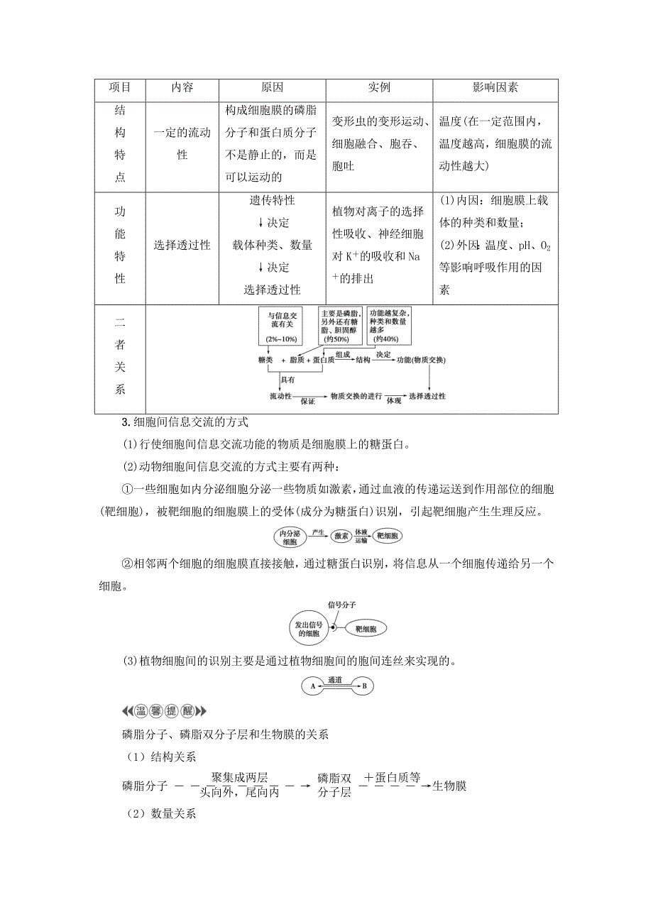 高中生物第3章细胞的结构和功能第2节细胞的类型和结构(第1课时)原核细胞和真核细胞细胞膜和细胞壁学案苏教版必修1_第5页