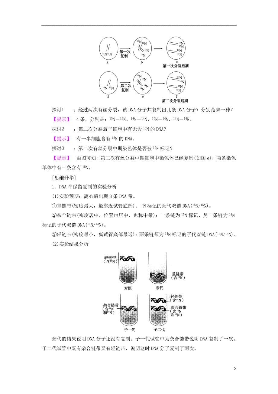 2016-2017学年高中生物第4章遗传的分子基础第2节dna分子的结构和复制第2课时dna分子的复制学案苏教版必修_第5页