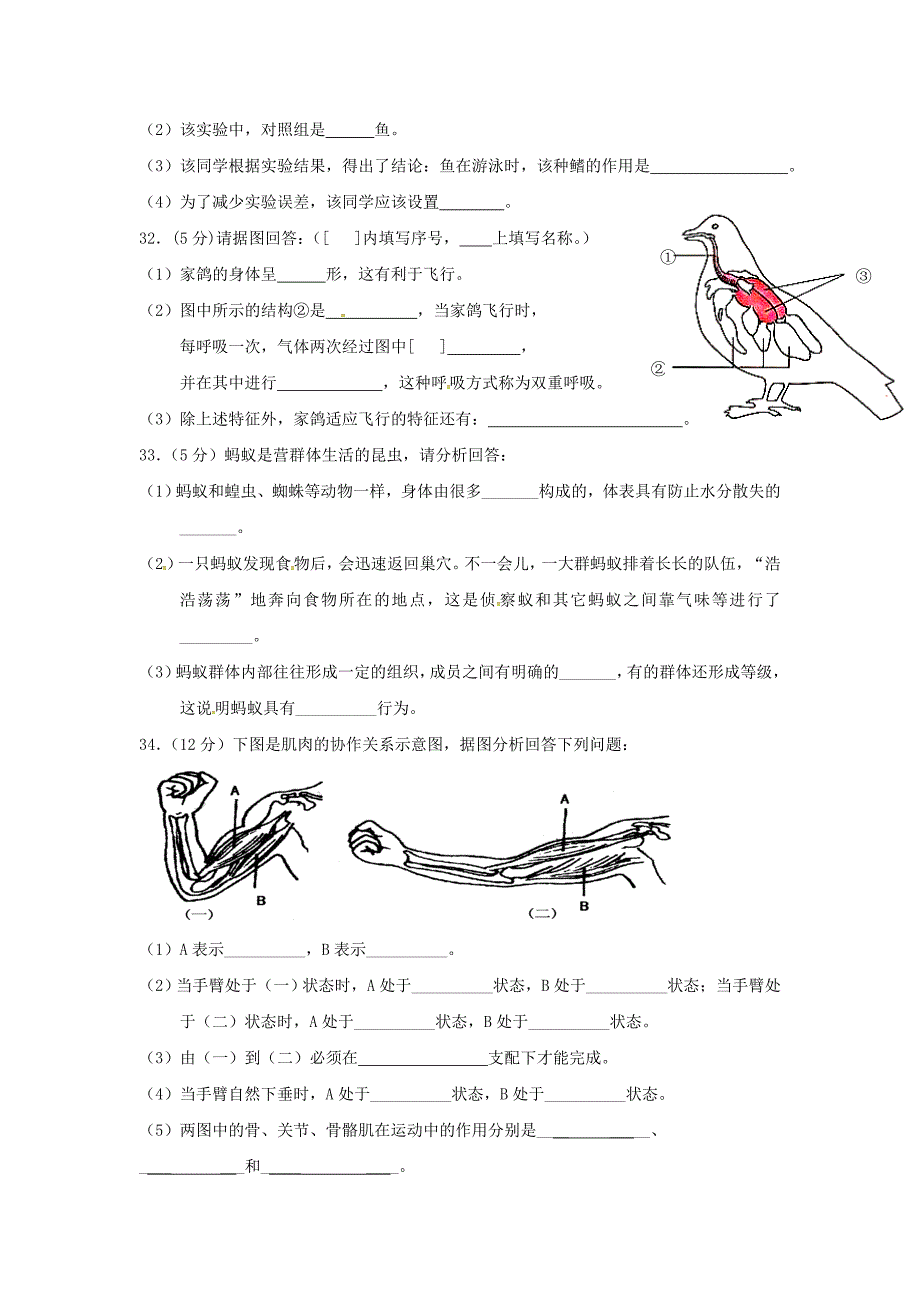 广东省东莞市寮步信义学校2014-2015学年八年级生物上学期第二阶段考试试题 新人教版_第4页