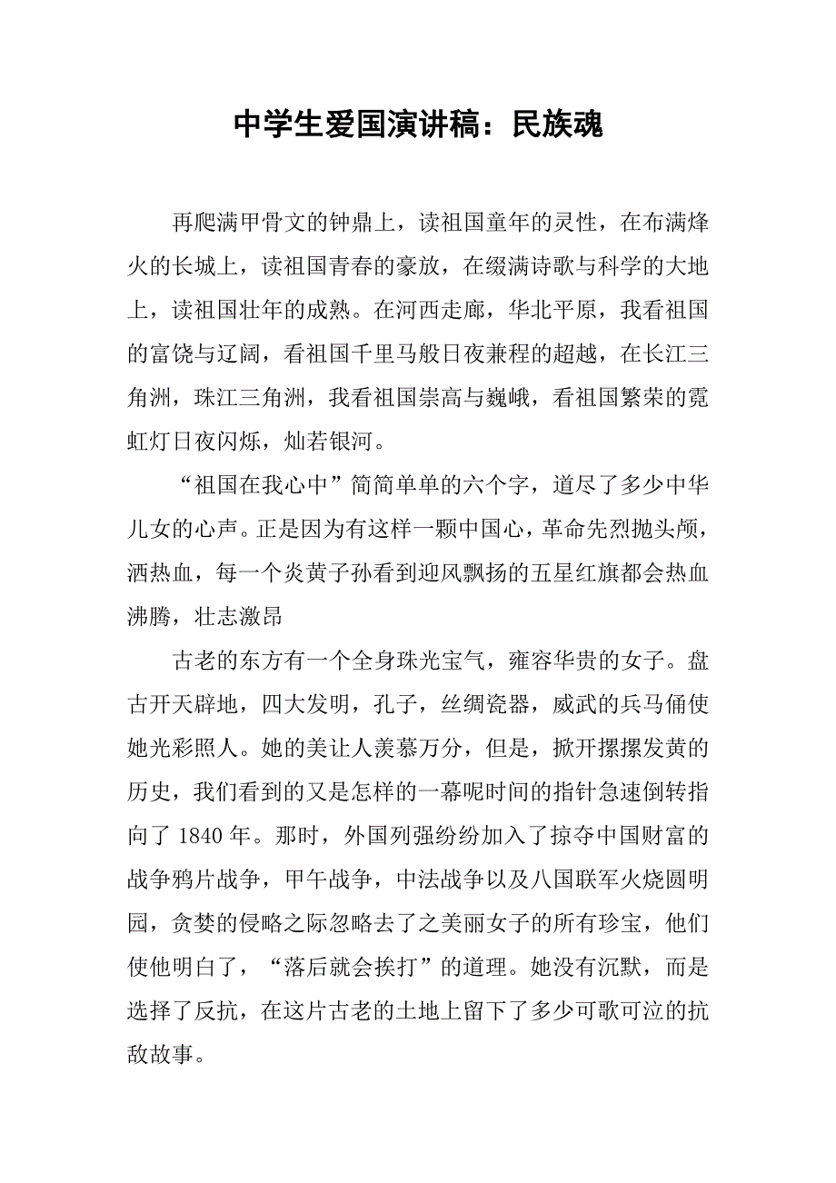 中学生爱国演讲稿：民族魂.doc_第1页