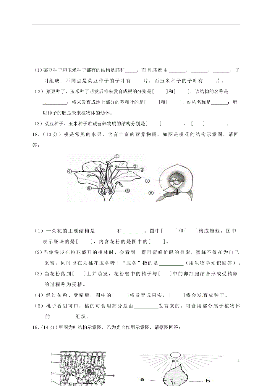 山西省阳泉市盂县2016-2017学年七年级生物上学期期末考试试题_第4页