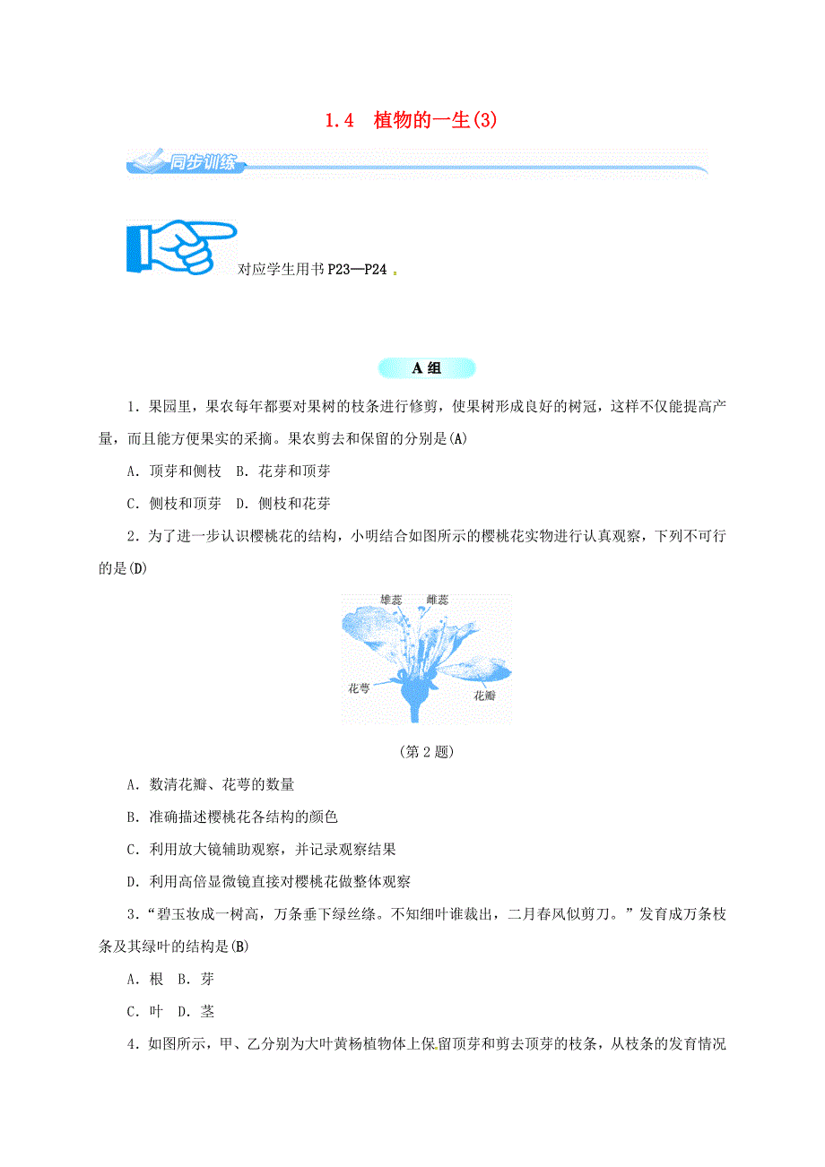 七年级科学下册1.4植物的一生3同步练习新版浙教版_第1页