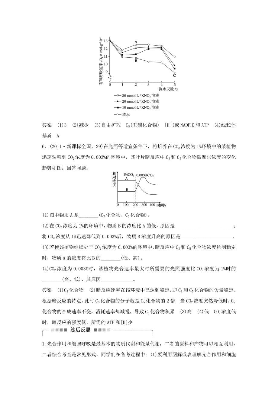 （四川专用）2016版高考生物二轮复习 考前三个月 专题2 细胞的代谢 考点6 透过光合作用和细胞呼吸原理，掌握过程关系图解_第5页