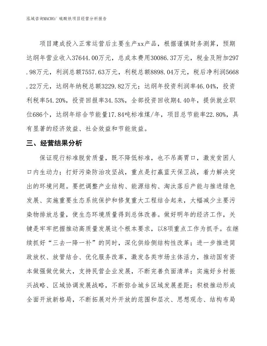 硫酸铁项目经营分析报告_第4页