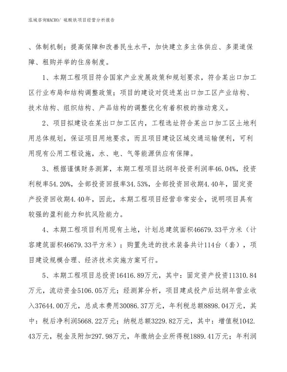 硫酸铁项目经营分析报告_第5页