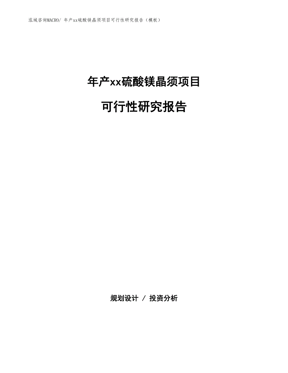 年产xx硫酸镁晶须项目可行性研究报告（模板）_第1页