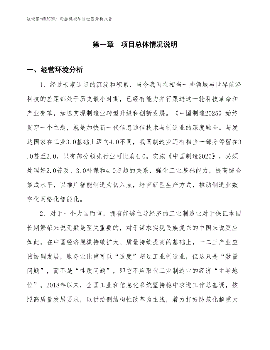 轮胎机械项目经营分析报告_第1页