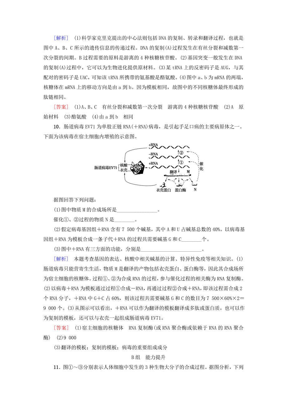 2019版高考生物一轮复习第6单元遗传的分子基础课时分层集训19基因控制蛋白质的合成苏教版_第4页