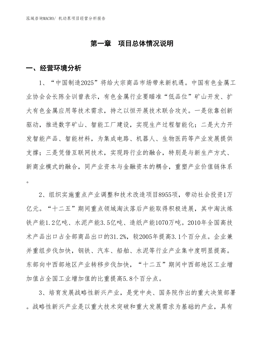 机动泵项目经营分析报告_第1页