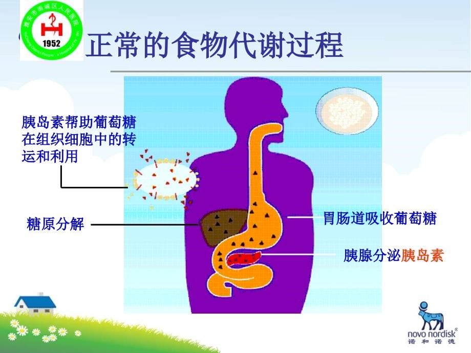 “四高”科普_第5页