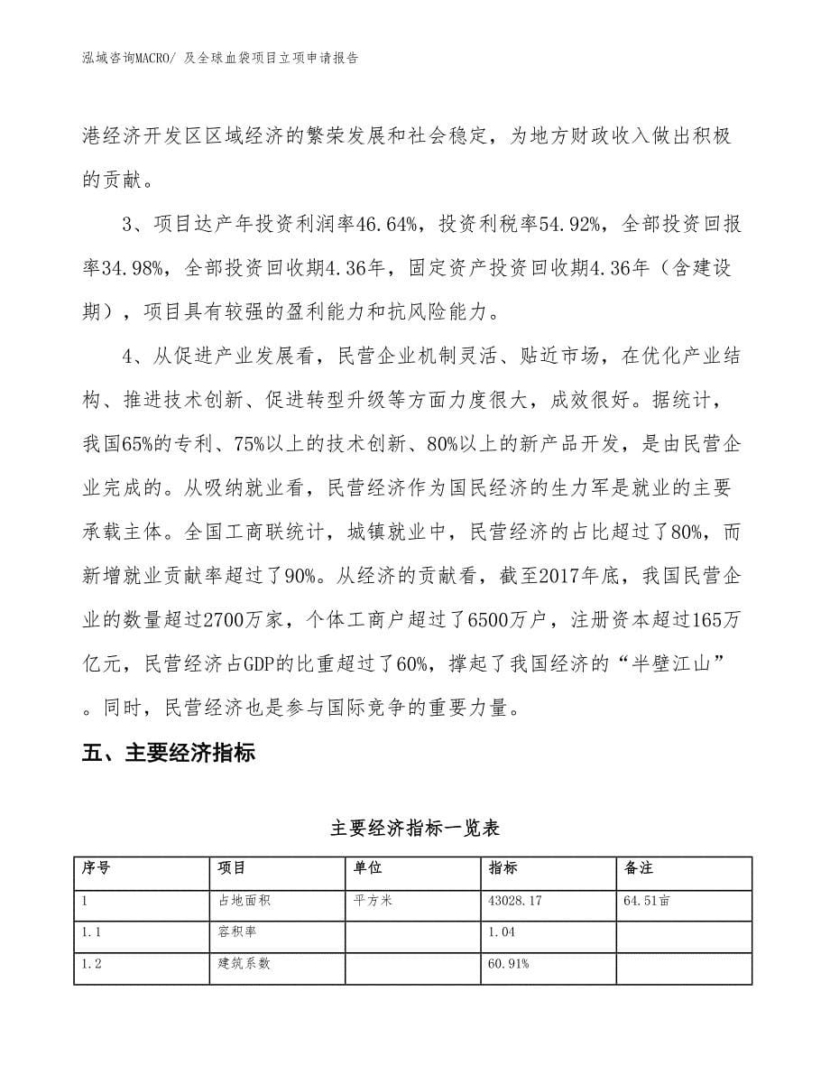 及全球血袋项目立项申请报告_第5页