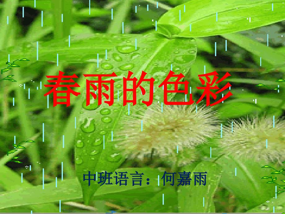 中班语言活动春雨的色彩(课件)_第2页