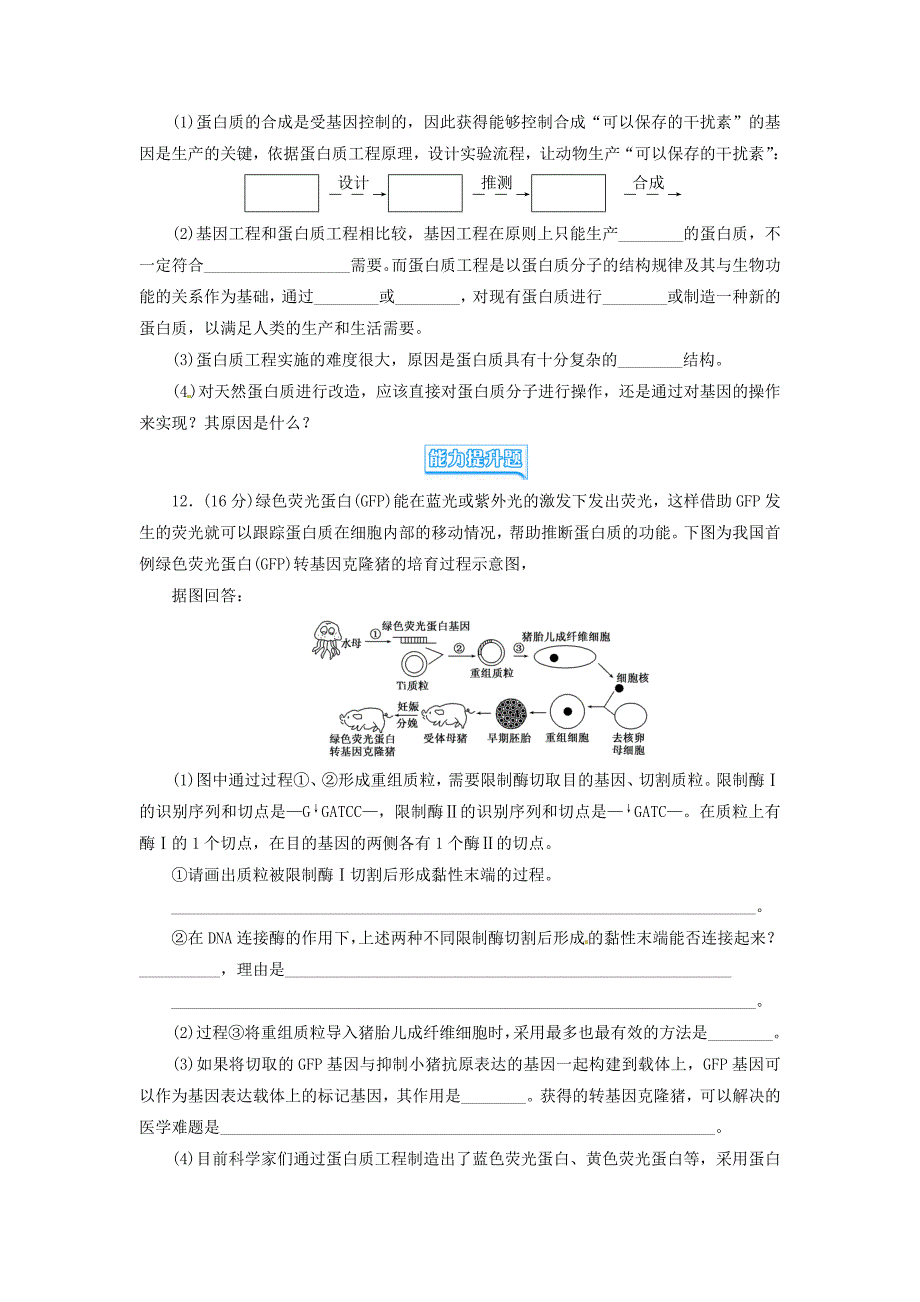 高中生物 蛋白质工程的崛起试题 新人教版选修3_第3页