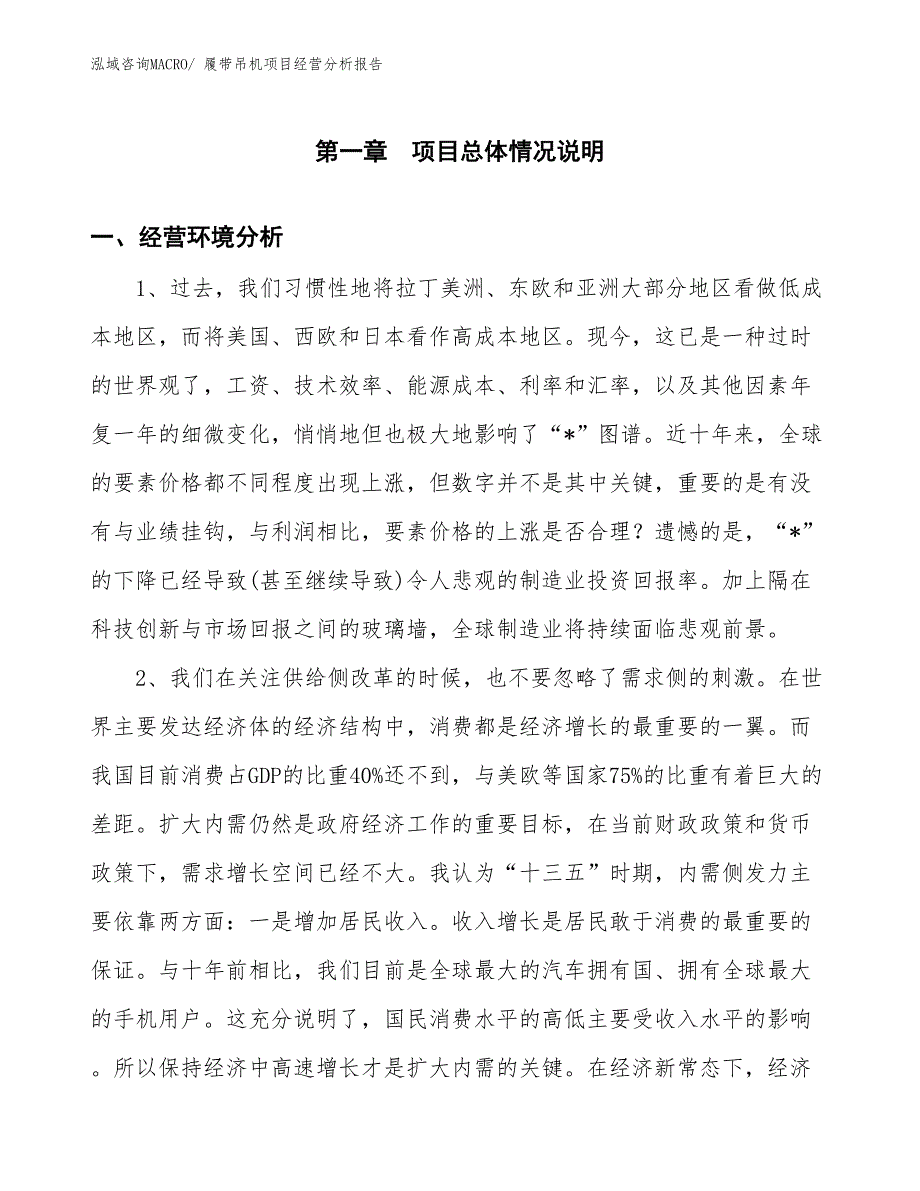 履带吊机项目经营分析报告_第1页