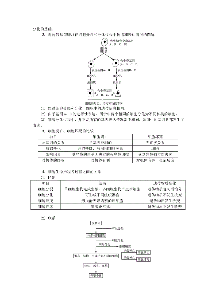 江苏省2018版高中生物第八讲细胞的分化衰老凋亡学案苏教版_第2页