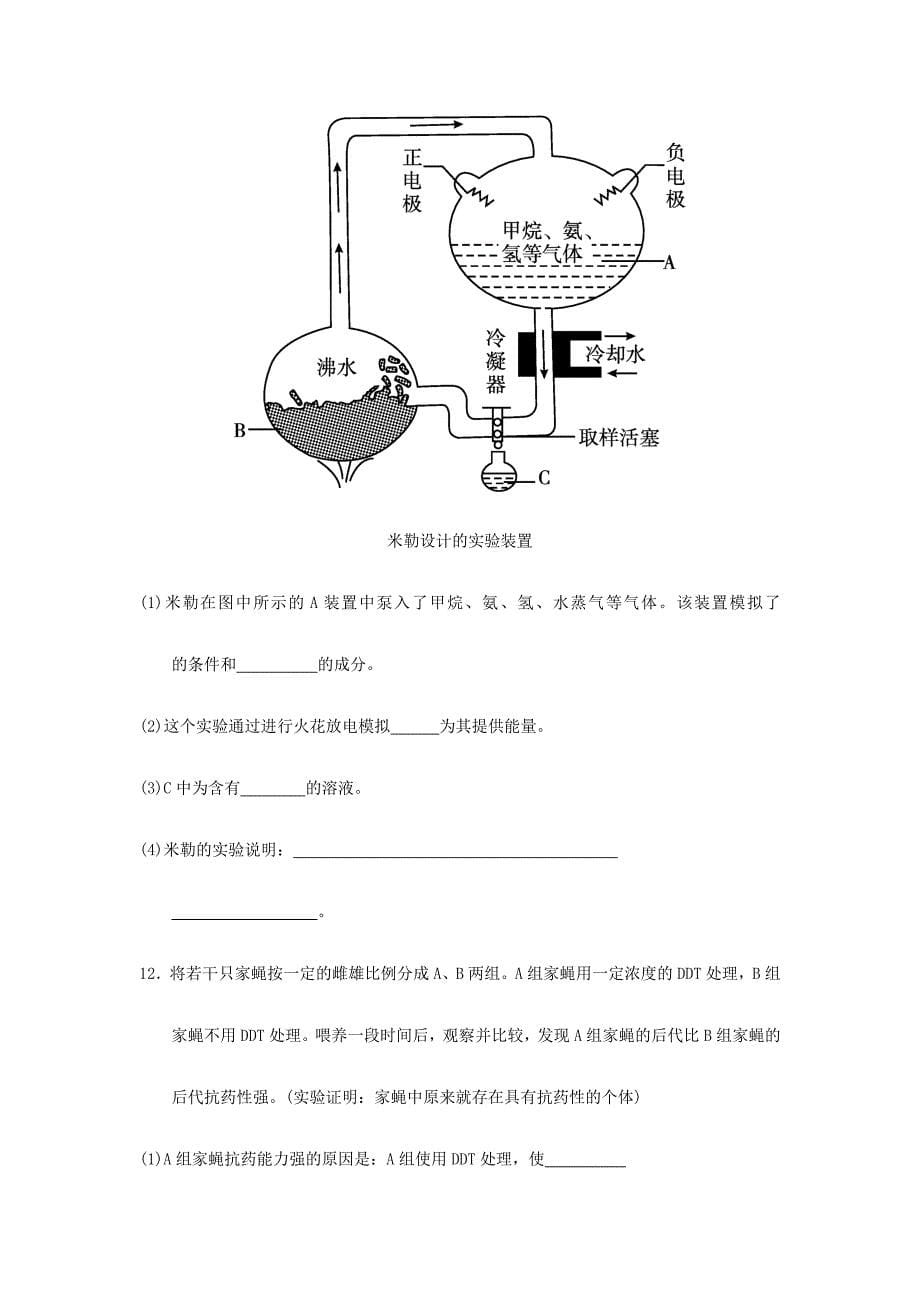 2017届中考生物一轮复习 第七单元 第三章 生命起源和生物进化 新人教版_第5页