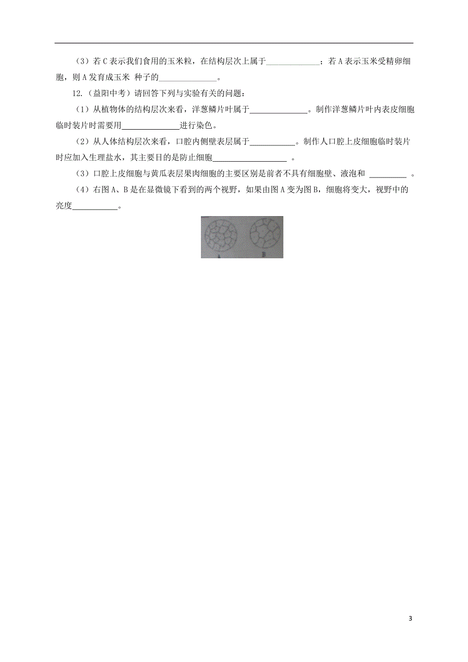 2016-2017学年七年级生物上册2.2.3植物体的结构层次课后作业新版新人教版_第3页