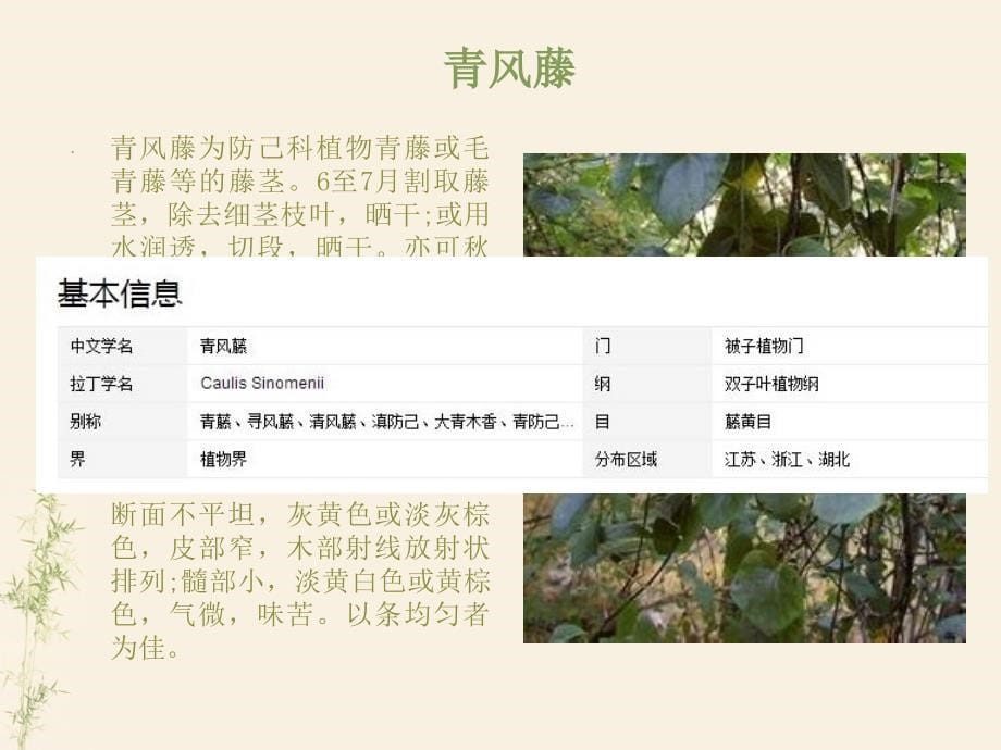 中草药的识别.ppt_第5页