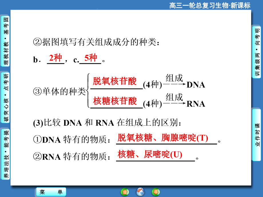 高三一轮总复习生物(新课标)必修1-第1单元-第4讲核酸、糖类和脂质_第3页