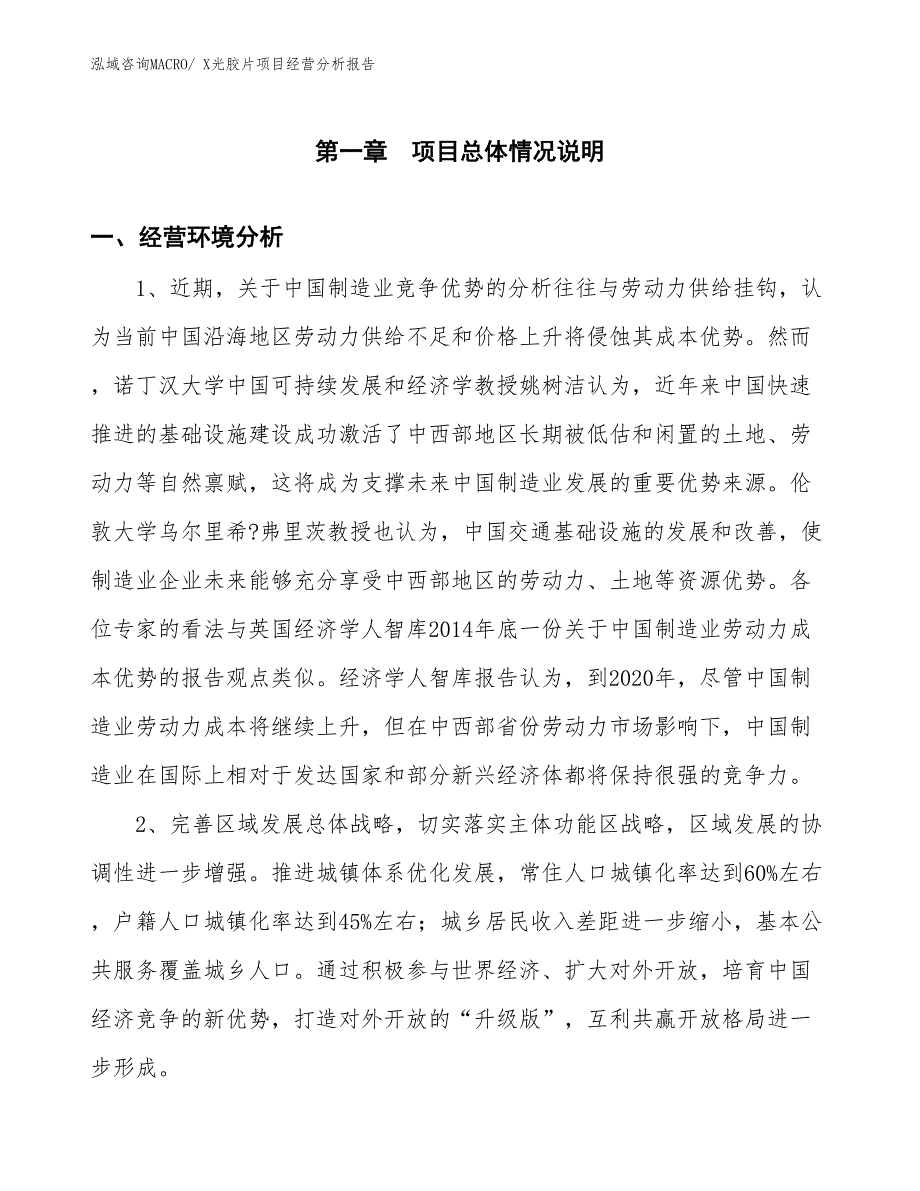 X光胶片项目经营分析报告_第1页