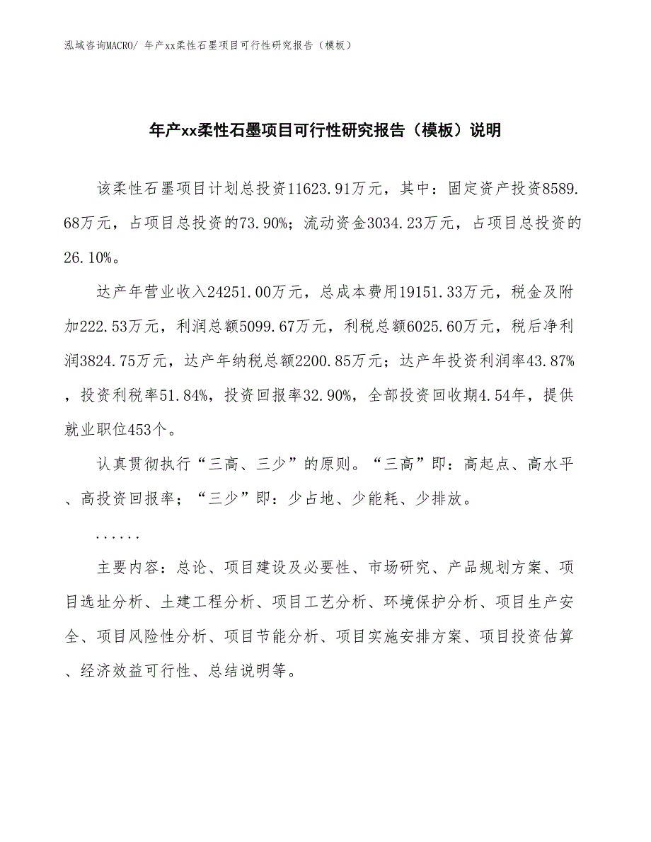 年产xx柔性石墨项目可行性研究报告（模板）_第2页