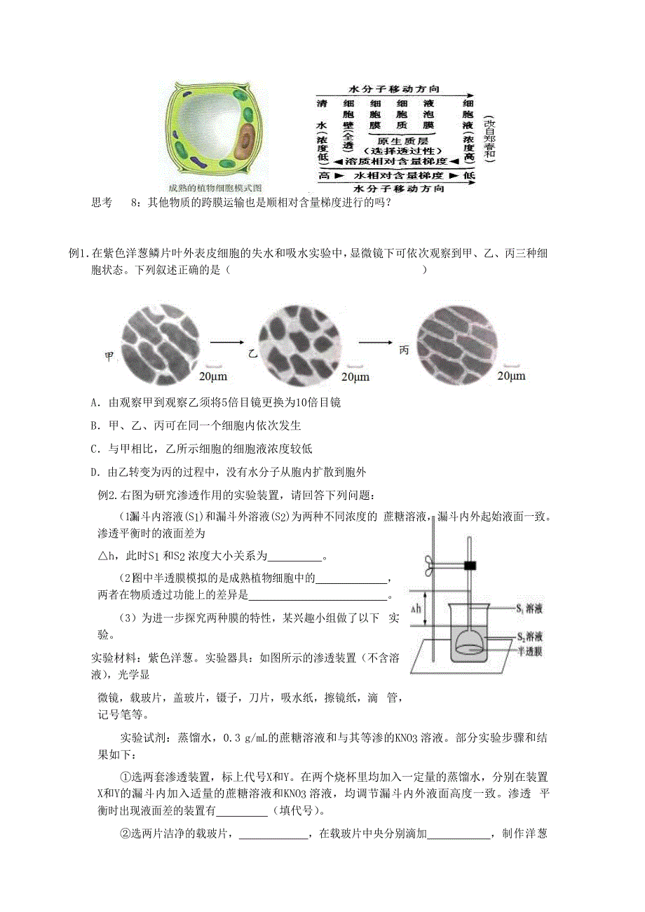 2018版高中生物总复习第4章细胞的物质输入和输出第1讲物质跨膜运输的实例讲义新人教版_第3页