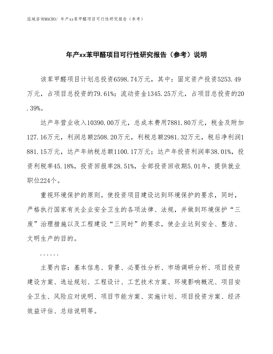 年产xx苯甲醛项目可行性研究报告（参考） (1)_第2页