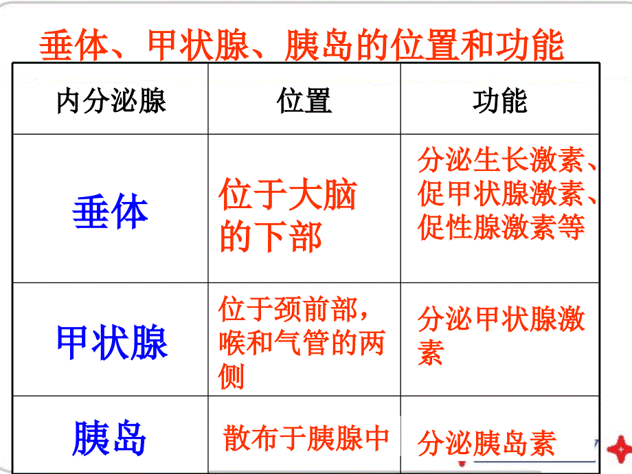 《人体生命活动的调节》复习课件(共43张ppt) (共43张ppt)_第4页