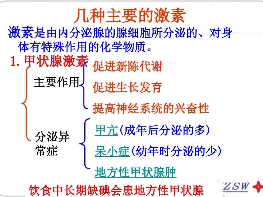 《人体生命活动的调节》复习课件(共43张ppt) (共43张ppt)_第5页