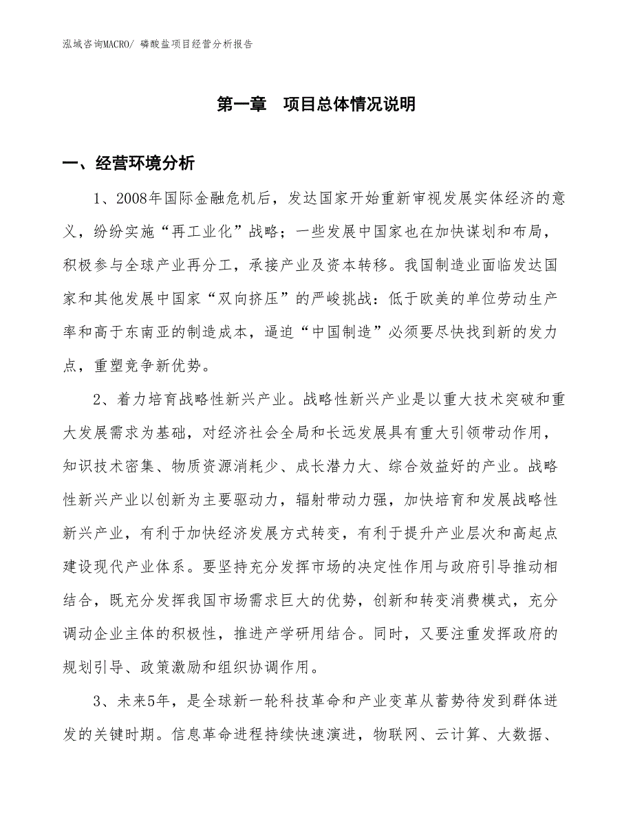 磷酸盐项目经营分析报告 (1)_第1页