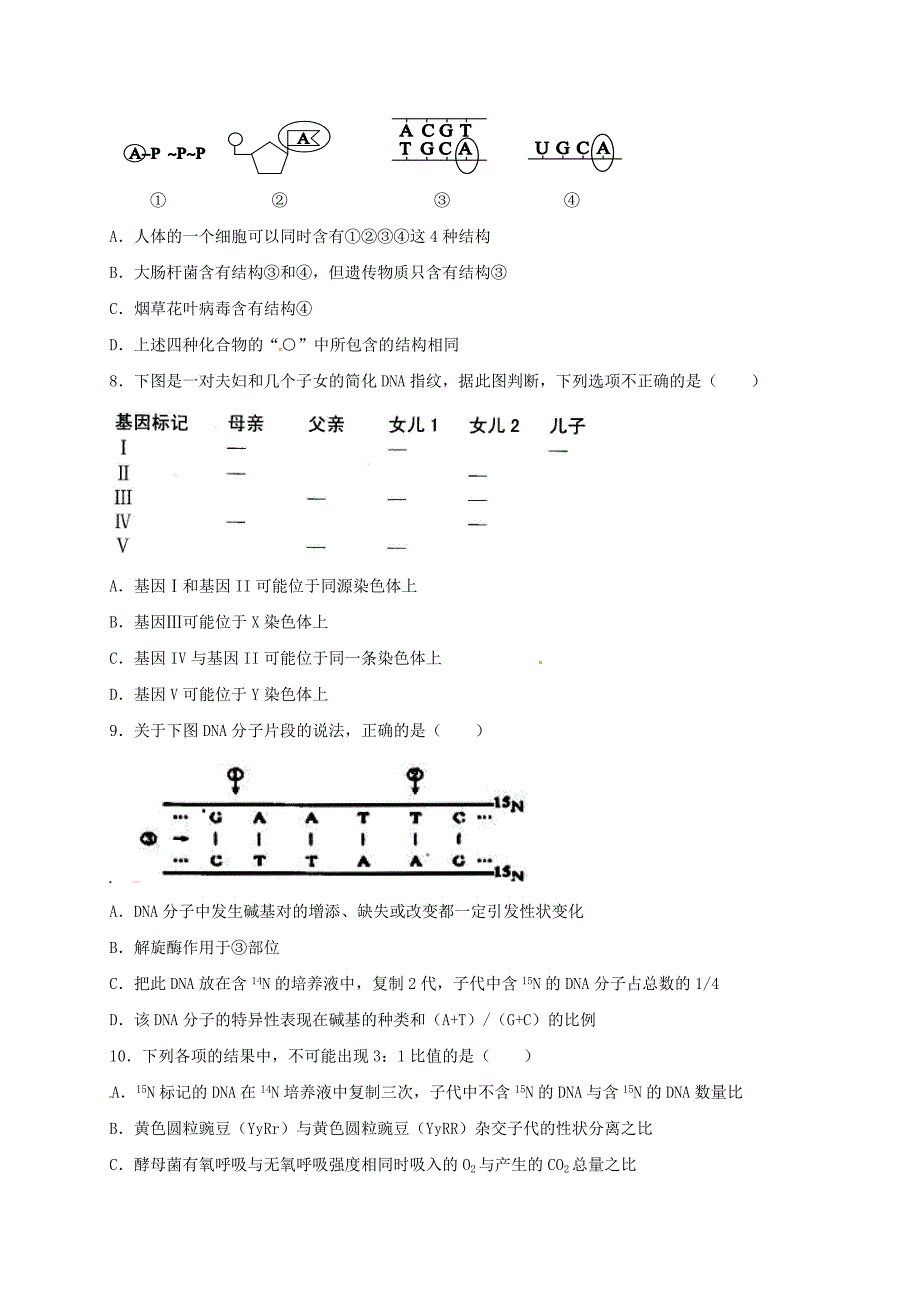 山西省忻州市2016-2017年高中生物遗传与进化综合同步检测新人教版_第2页